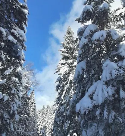 Rujan 1 Casa vacanze